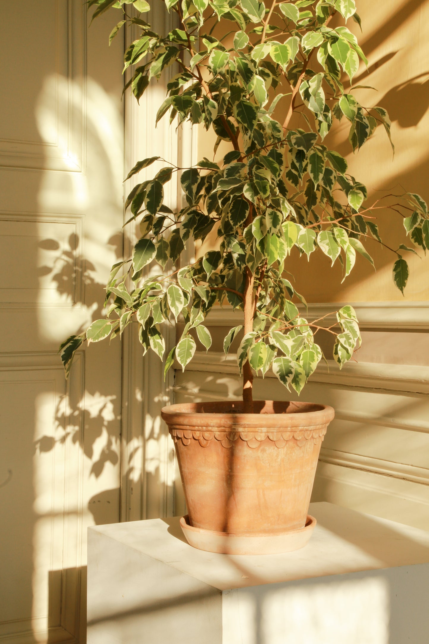 Københavner (Copenhagen) Large Pot - Rosa