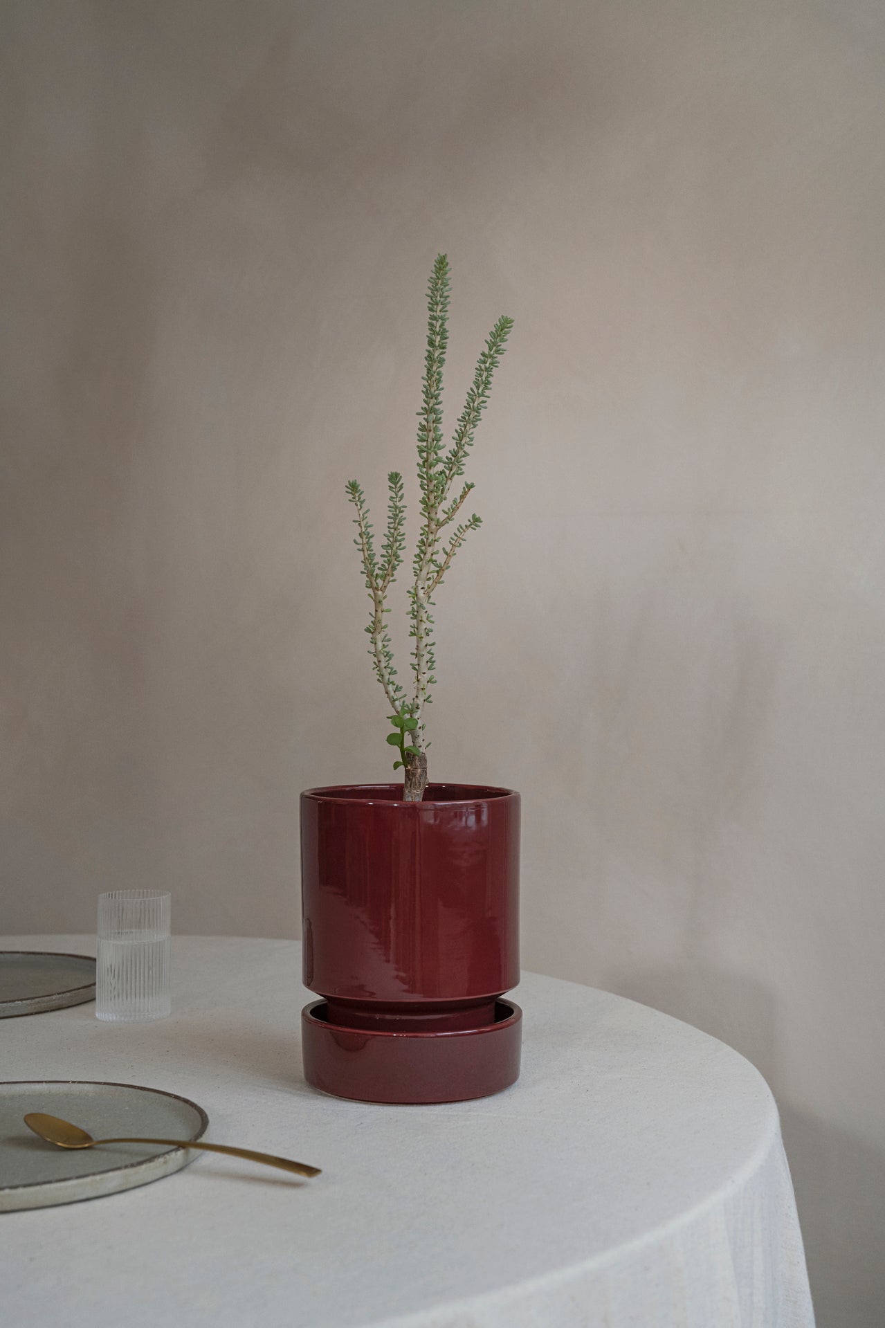 Hoff Glazed Pot (Saucer Sold Separately) - Deep Burgundy