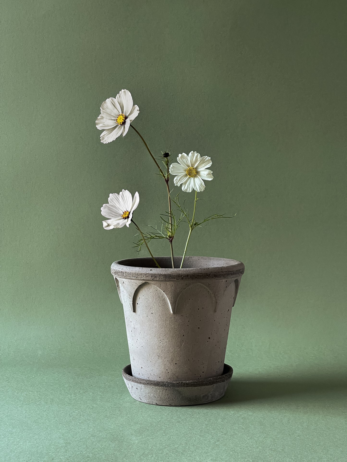 Elizabeth Raw Pot & Saucer - Grey