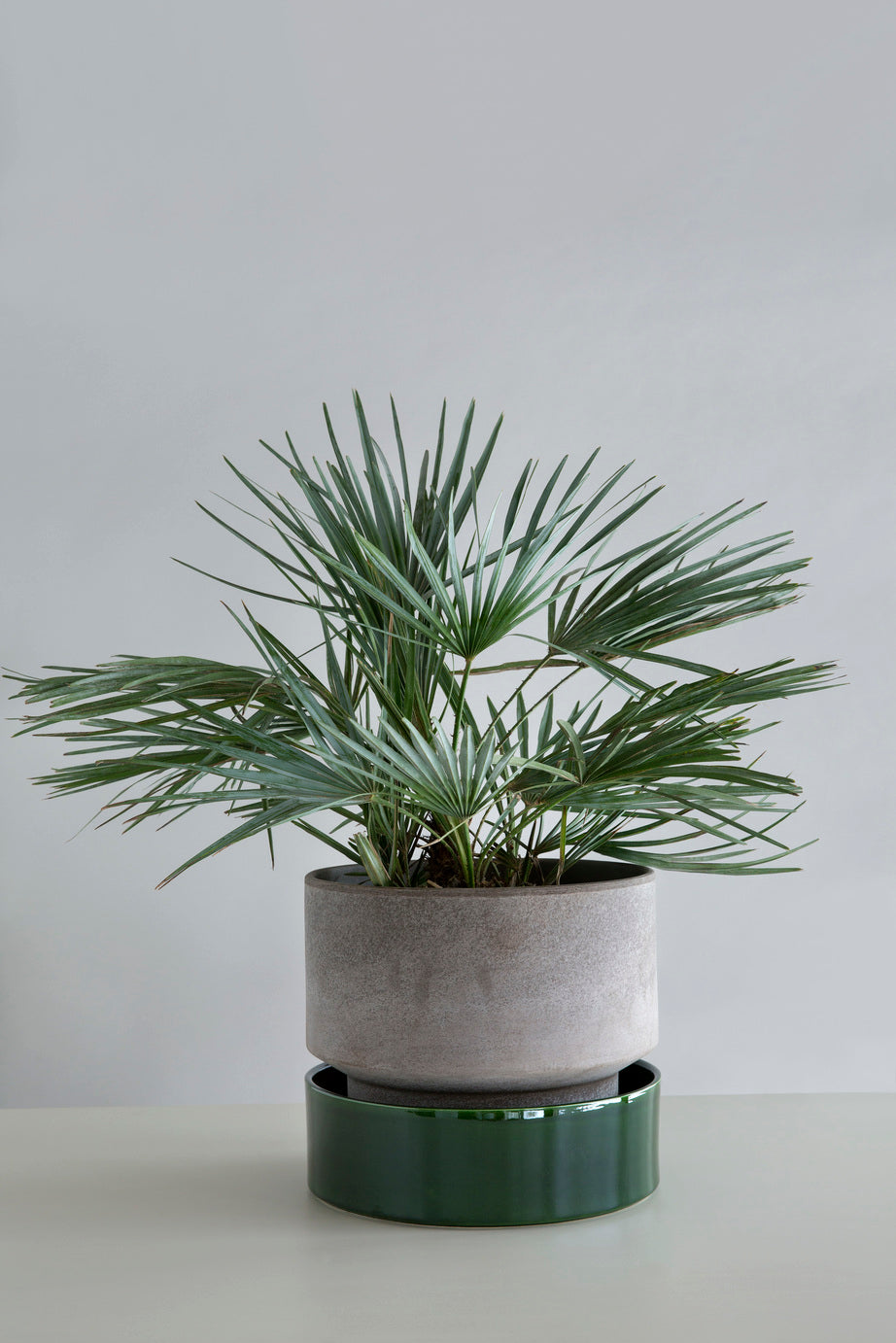 Hoff Glazed Saucer - Emerald Green