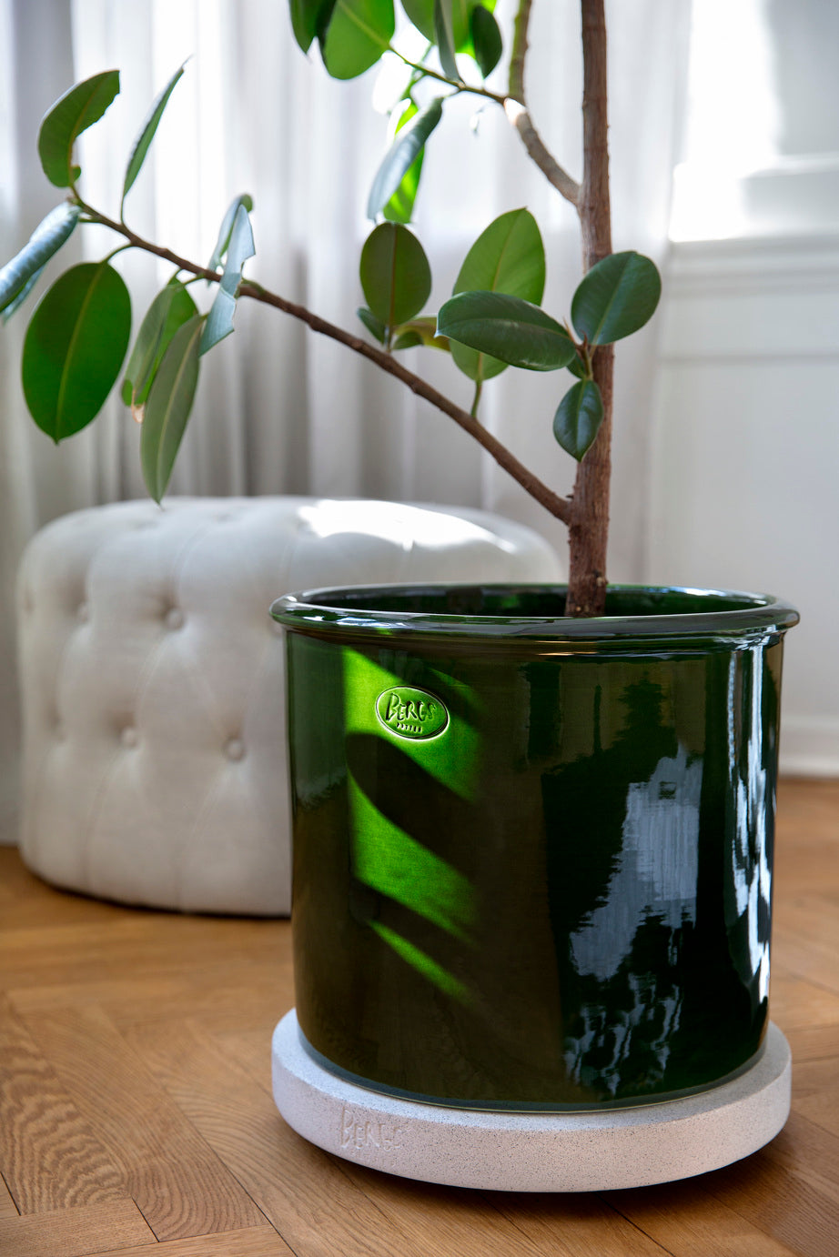 Modena Glazed Pot & Saucer - Emerald Green