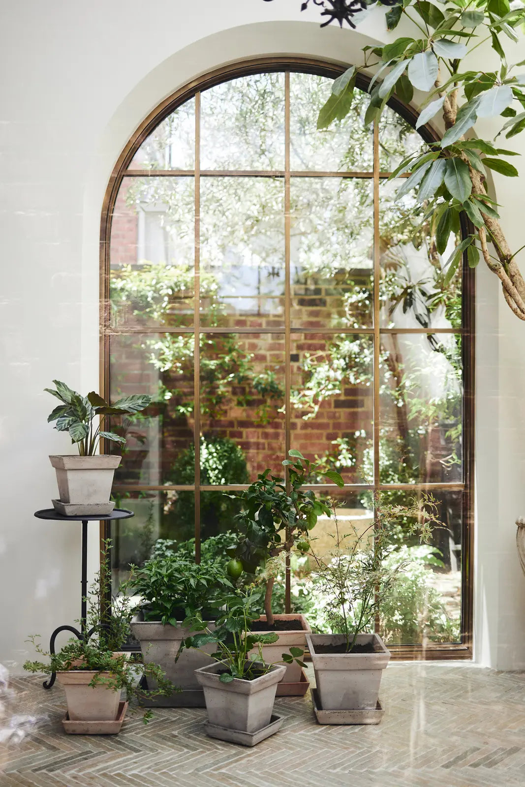 Gaia Raw Grey Pot & Saucer