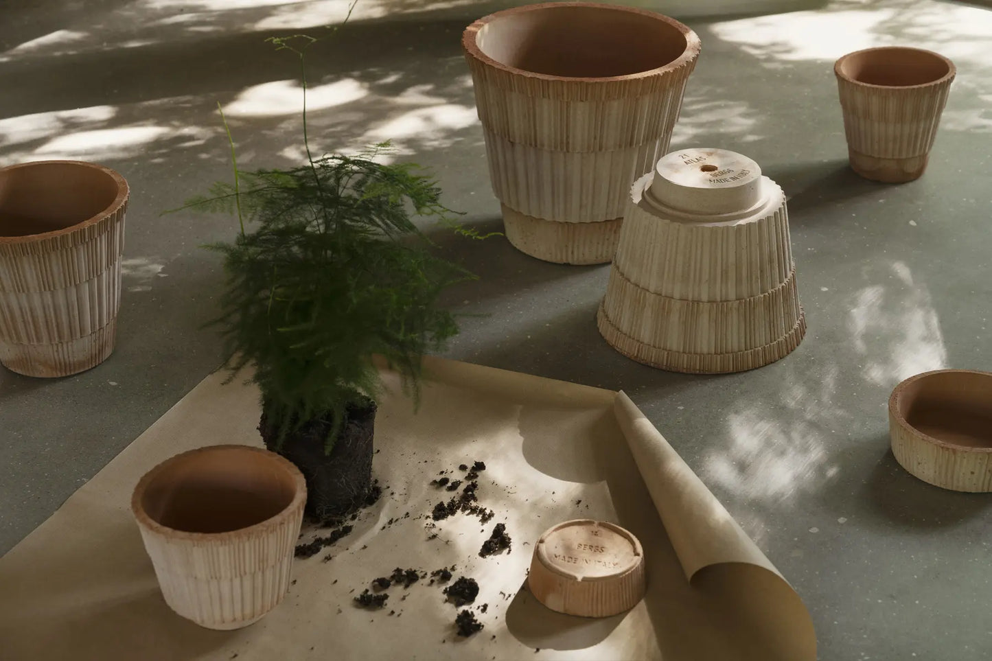 Atlas Raw Pot & Saucer - Rosa