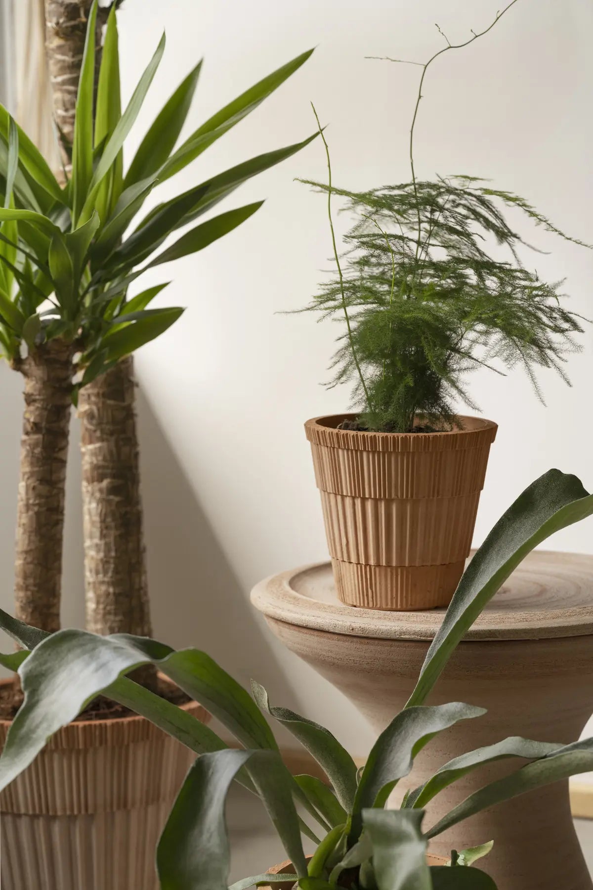 Atlas Raw Pot & Saucer - Rosa