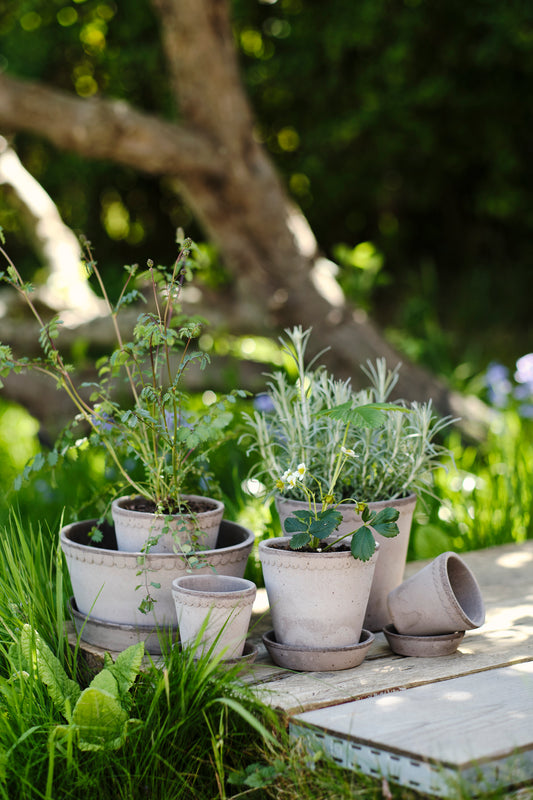 Helena Raw Pot & Saucer - Grey