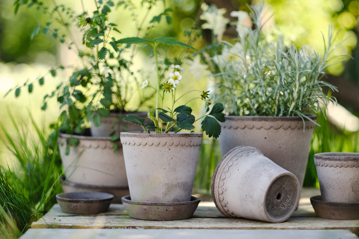 Helena Raw Pot & Saucer - Grey