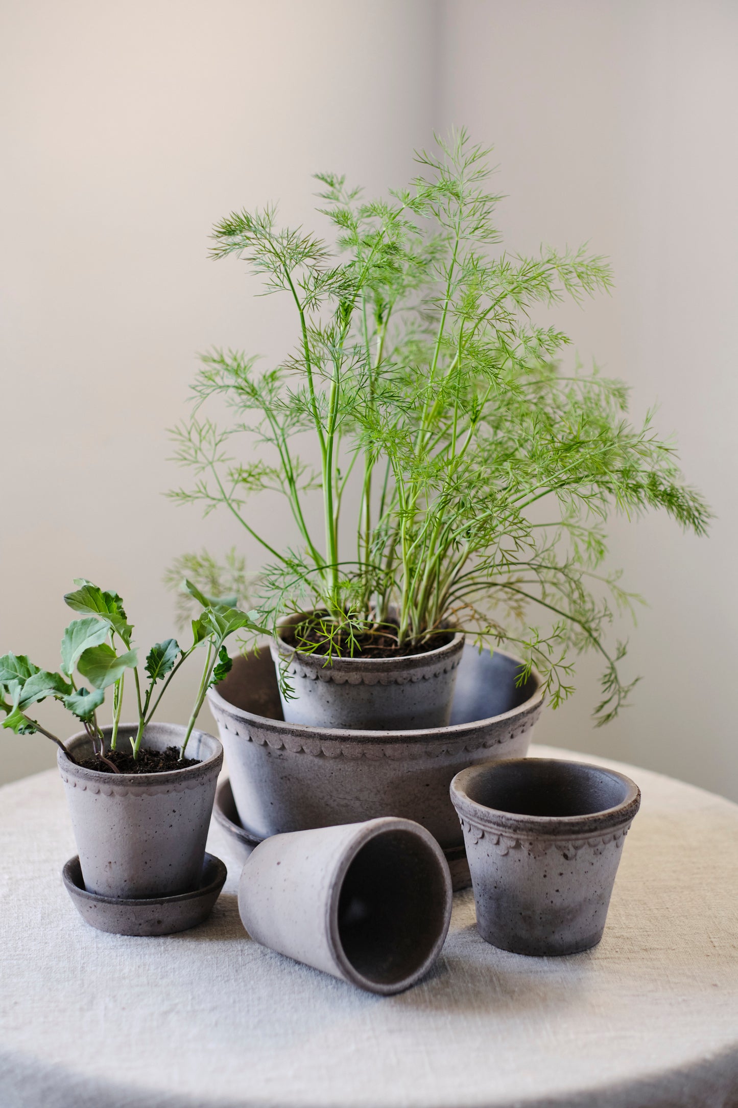 Helena Raw Pot & Saucer - Grey