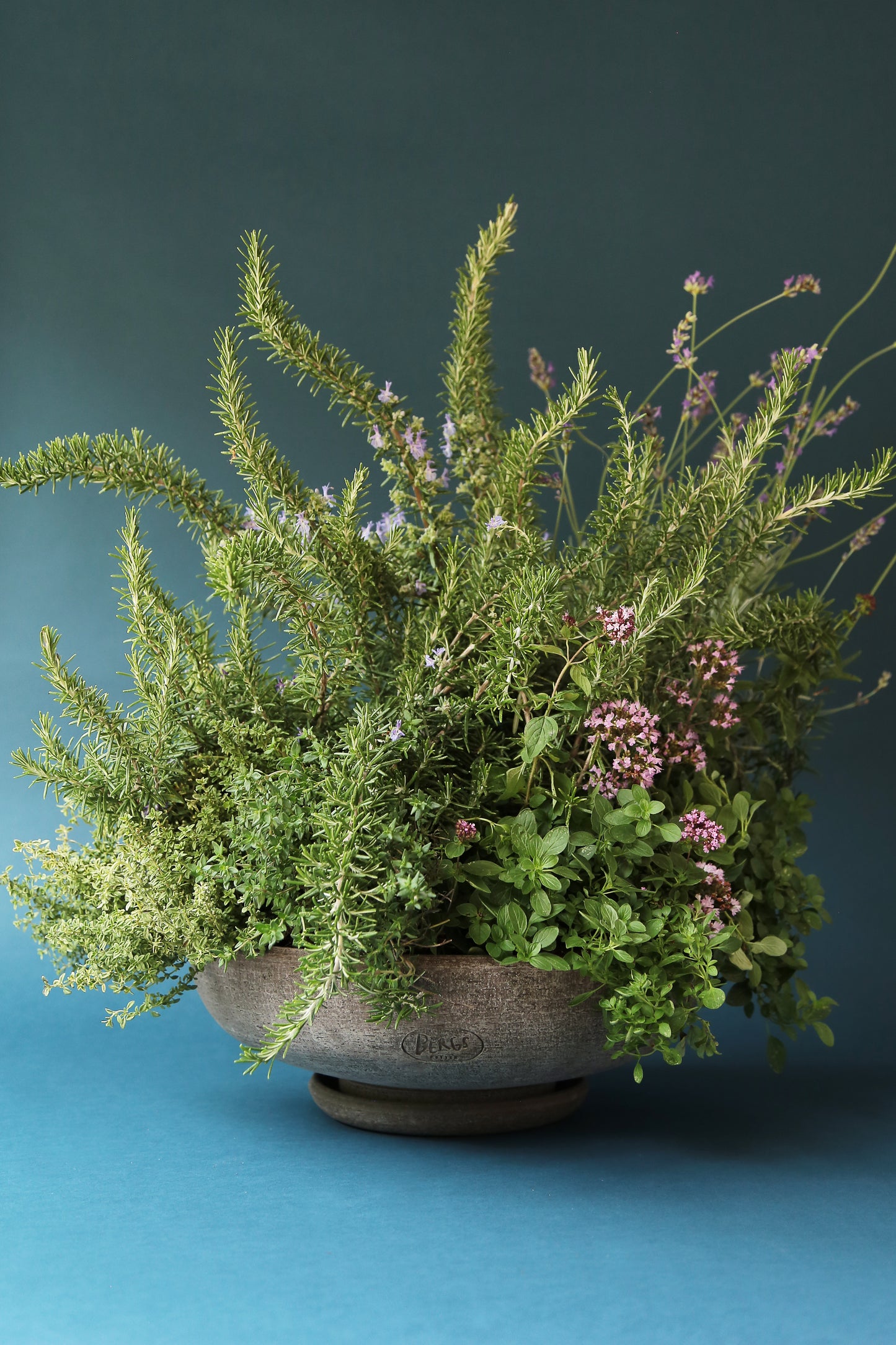 Ada Bowl & Saucer  - Grey