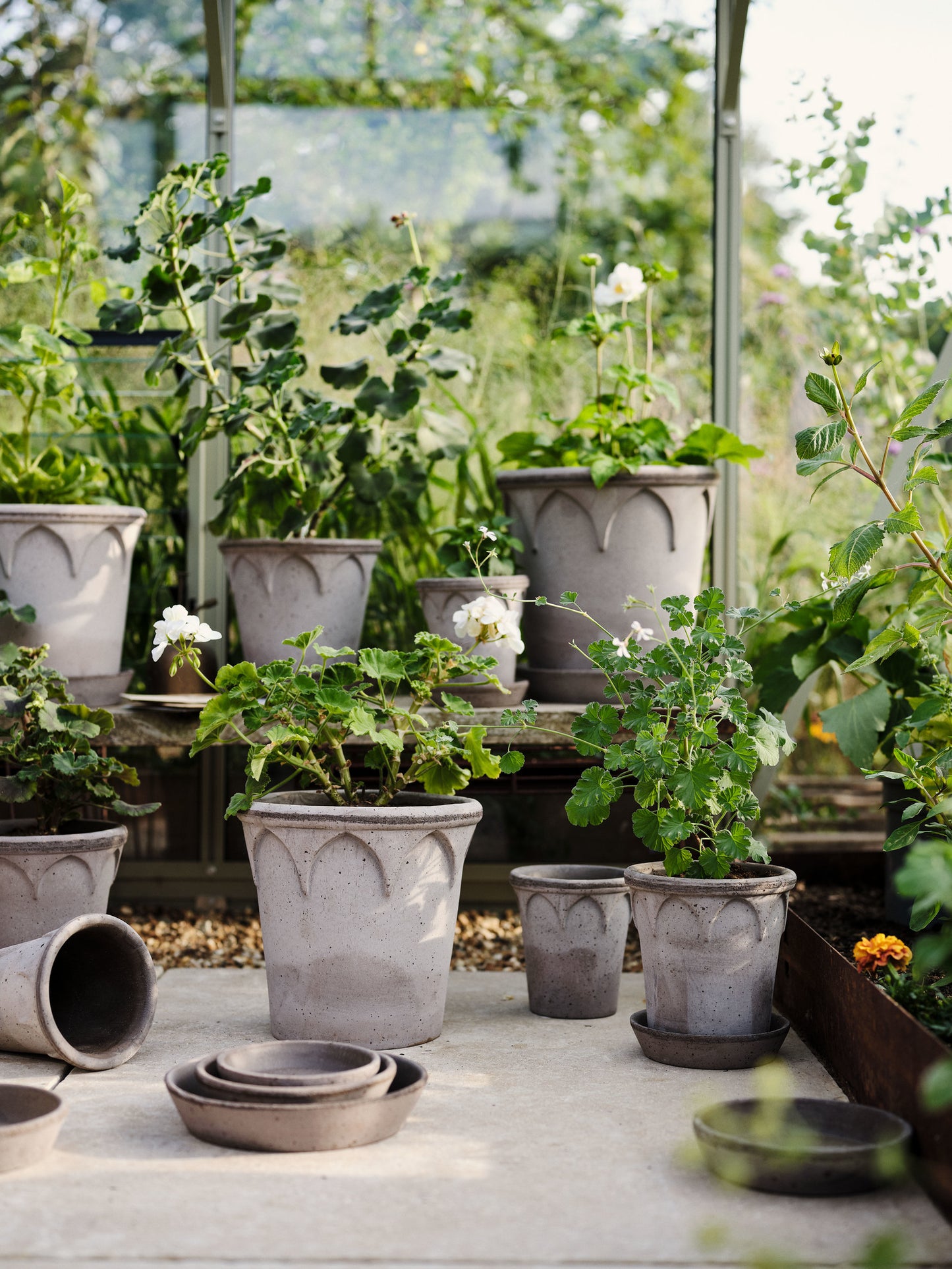 Elizabeth Raw Pot & Saucer - Grey