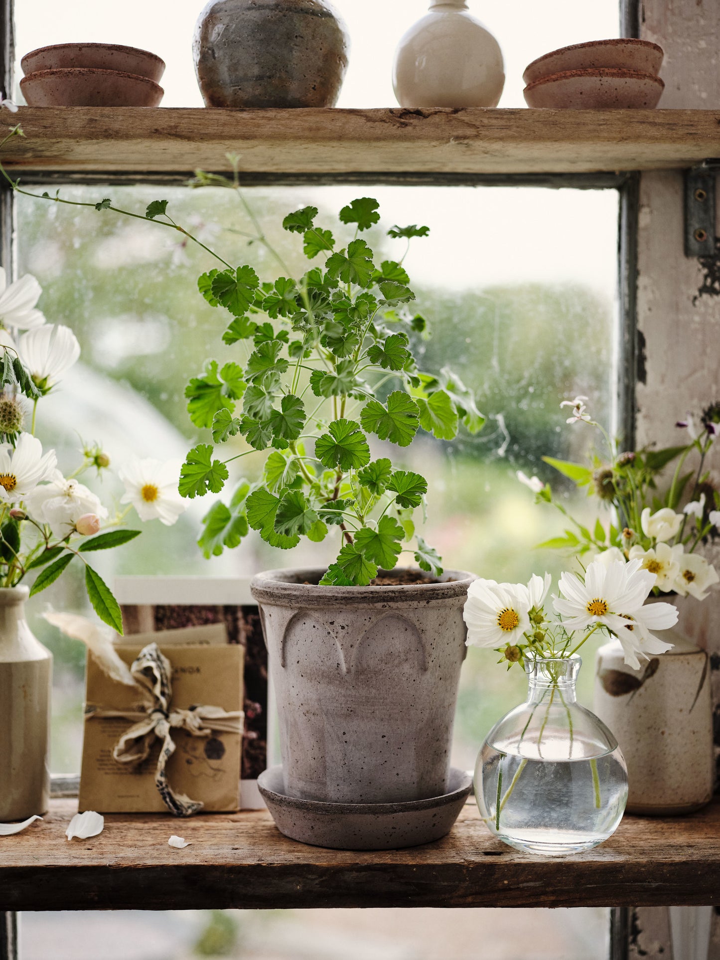 Elizabeth Raw Pot & Saucer - Grey