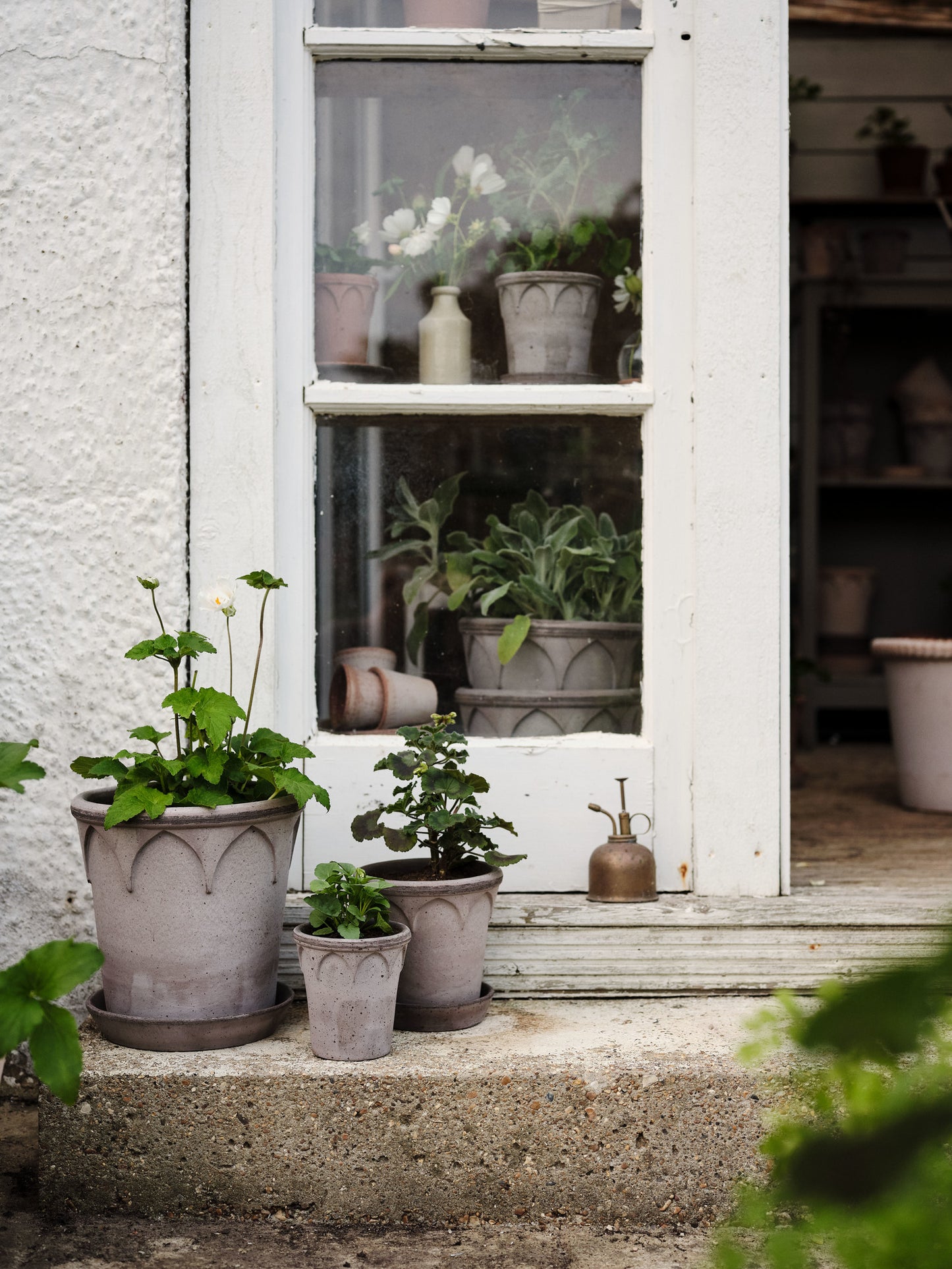 Elizabeth Raw Pot & Saucer - Grey