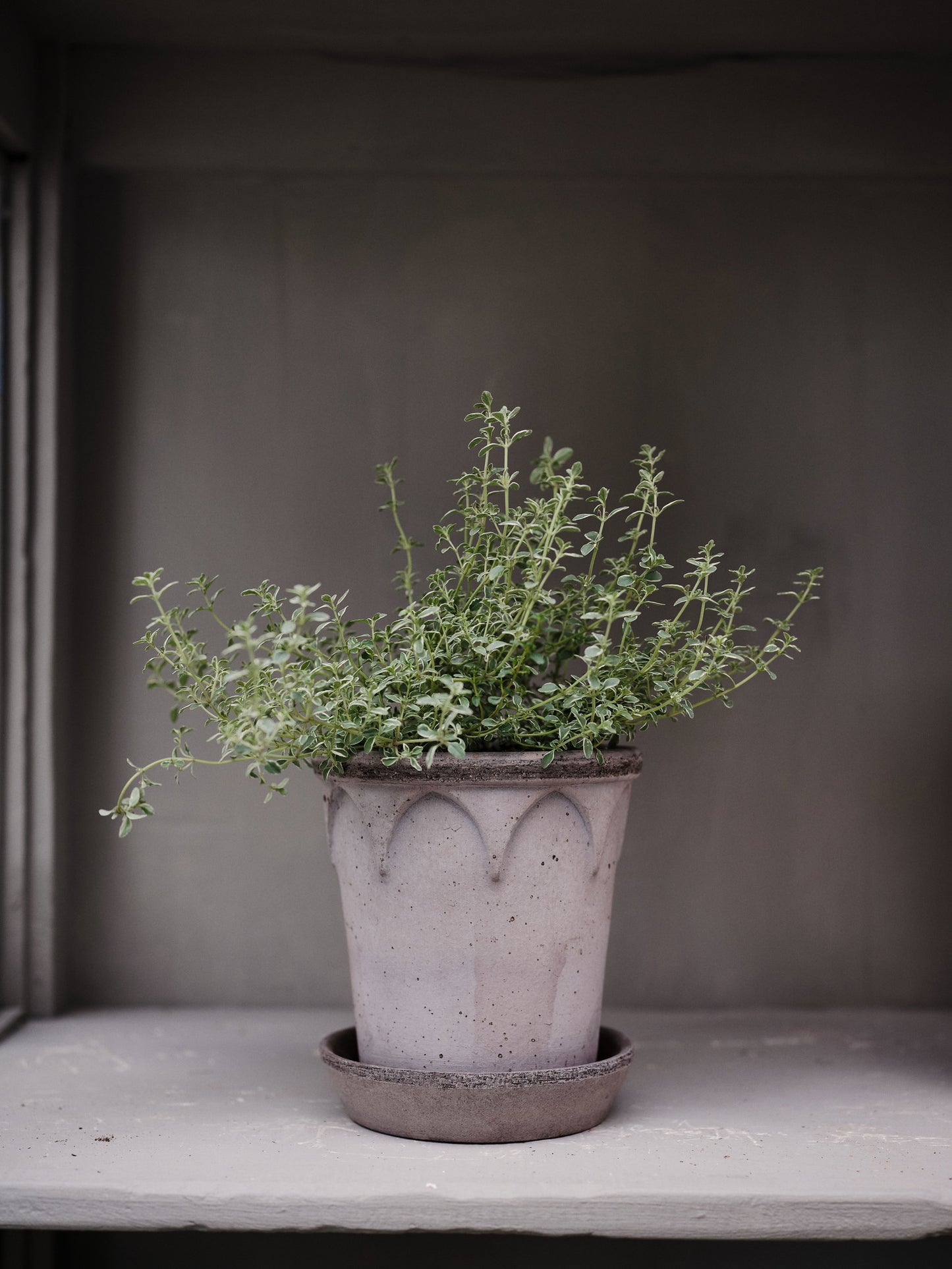 Elizabeth Raw Pot & Saucer - Grey