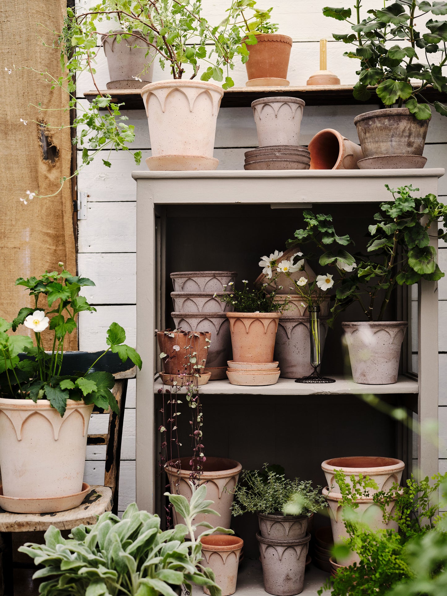 Elizabeth Raw Pot & Saucer - Rosa