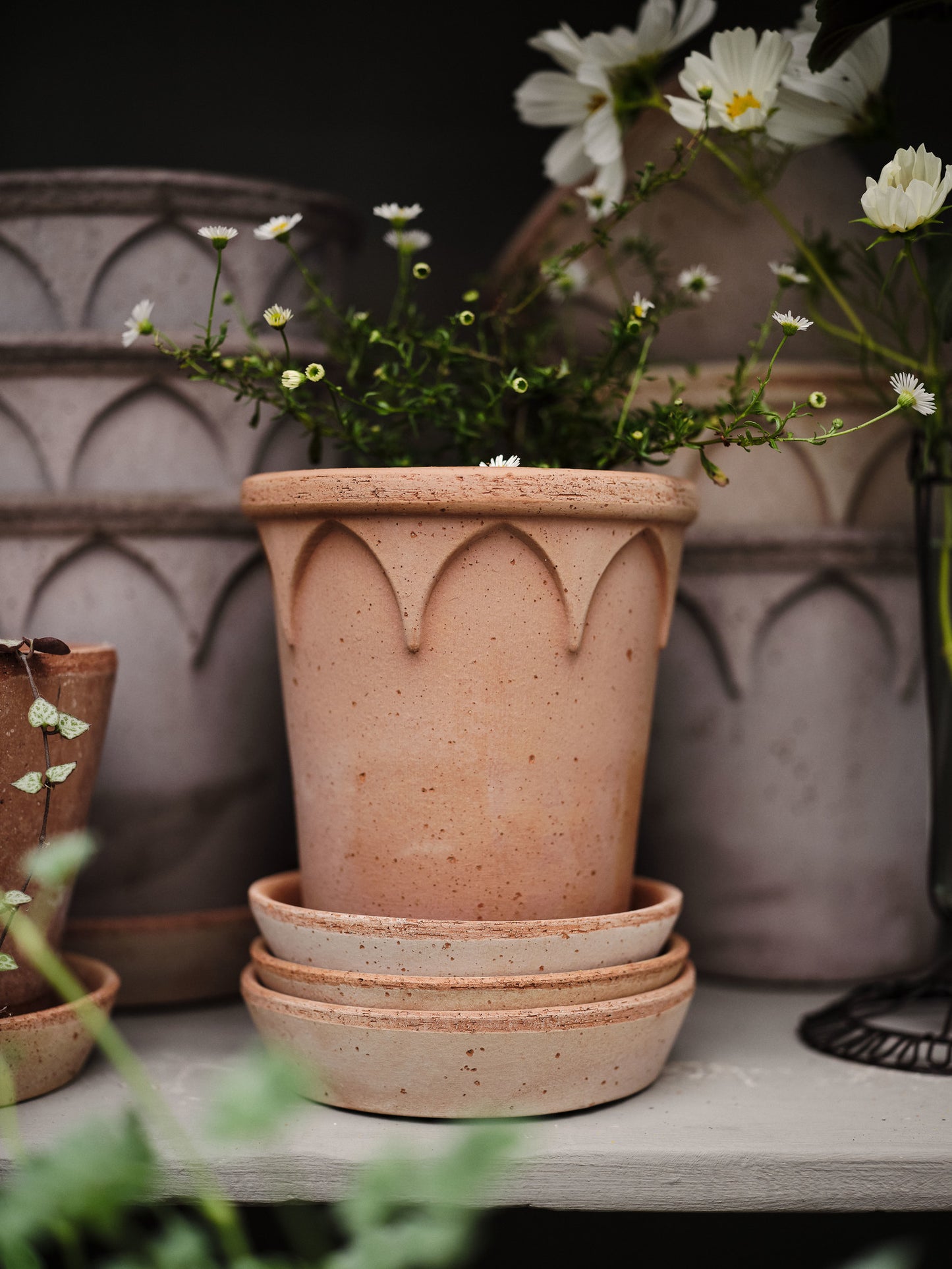 Elizabeth Raw Pot & Saucer - Rosa