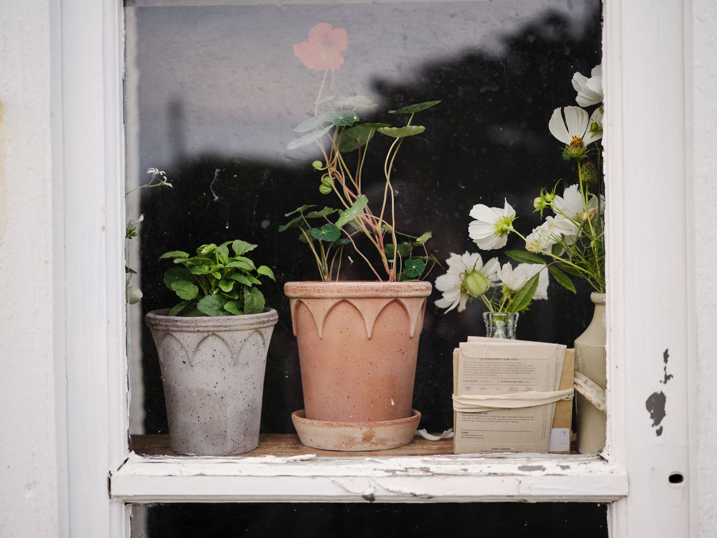 Elizabeth Raw Pot & Saucer - Rosa