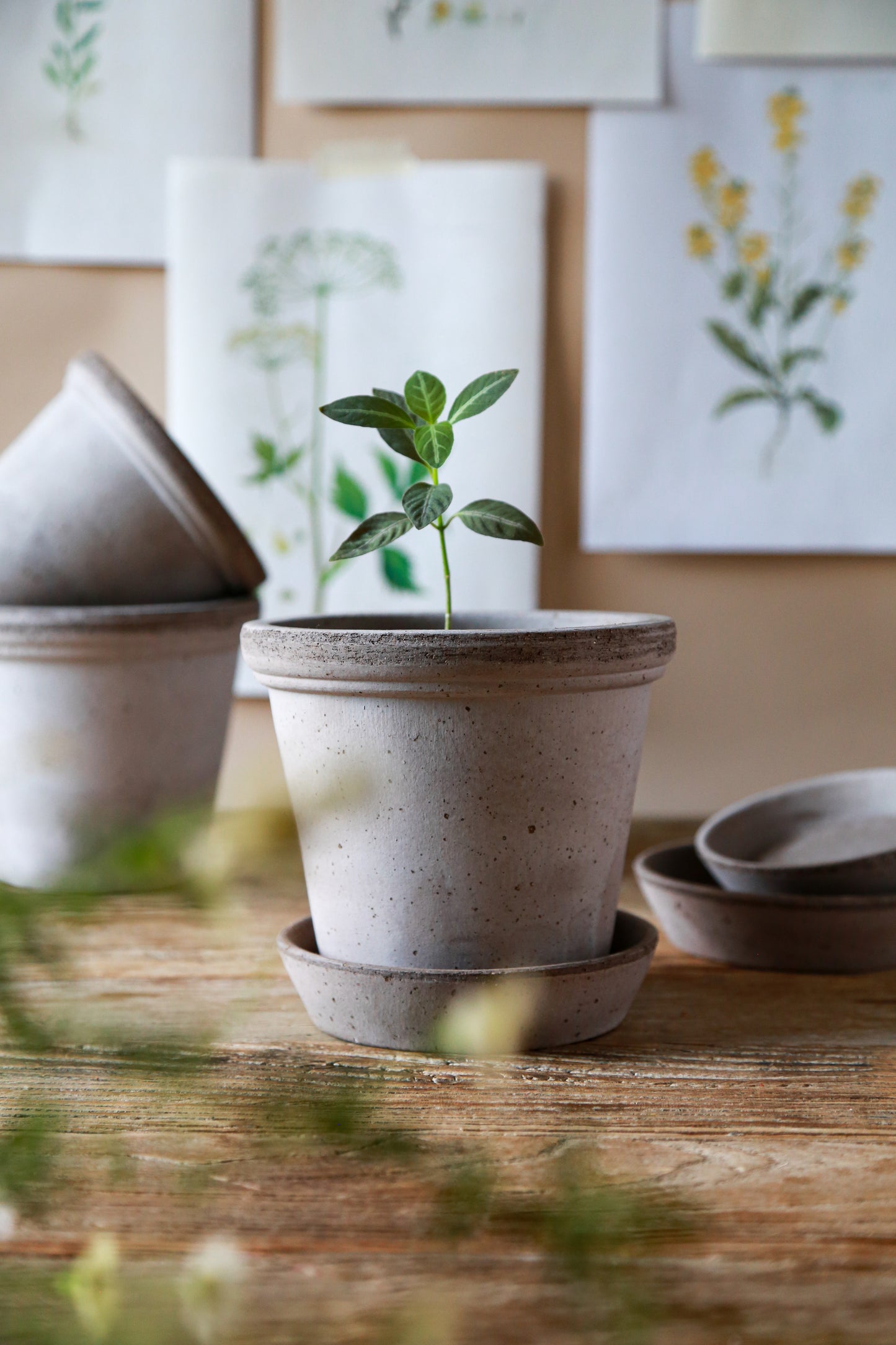 Flora Raw Pot & Saucer - Grey