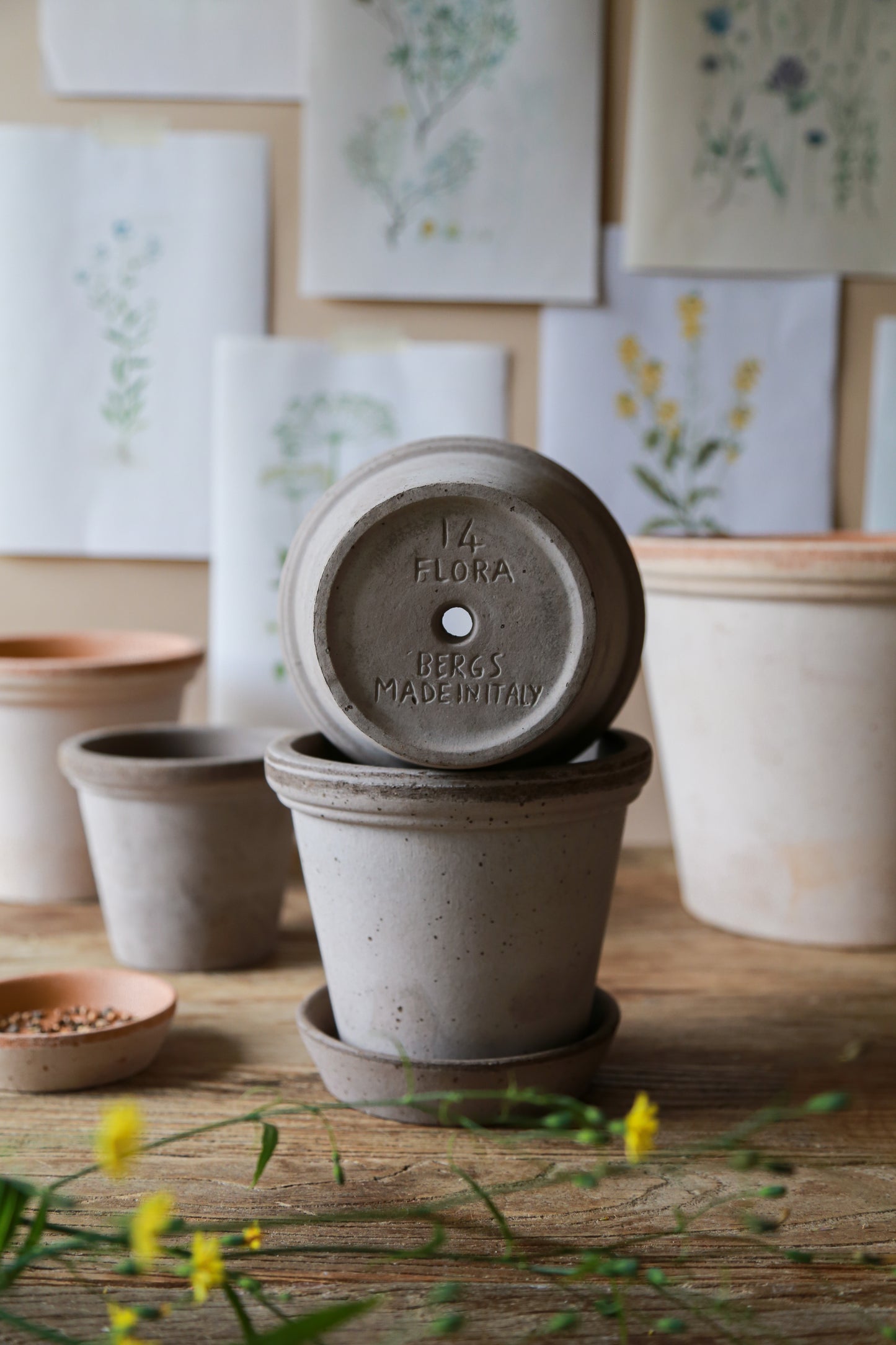 Flora Raw Pot & Saucer - Grey