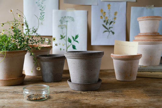 Flora Raw Pot & Saucer - Grey