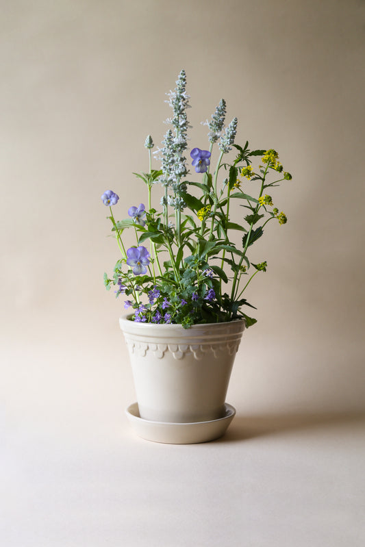 Københavner (Copenhagen) Glazed Pot & Saucer - Sand Stone