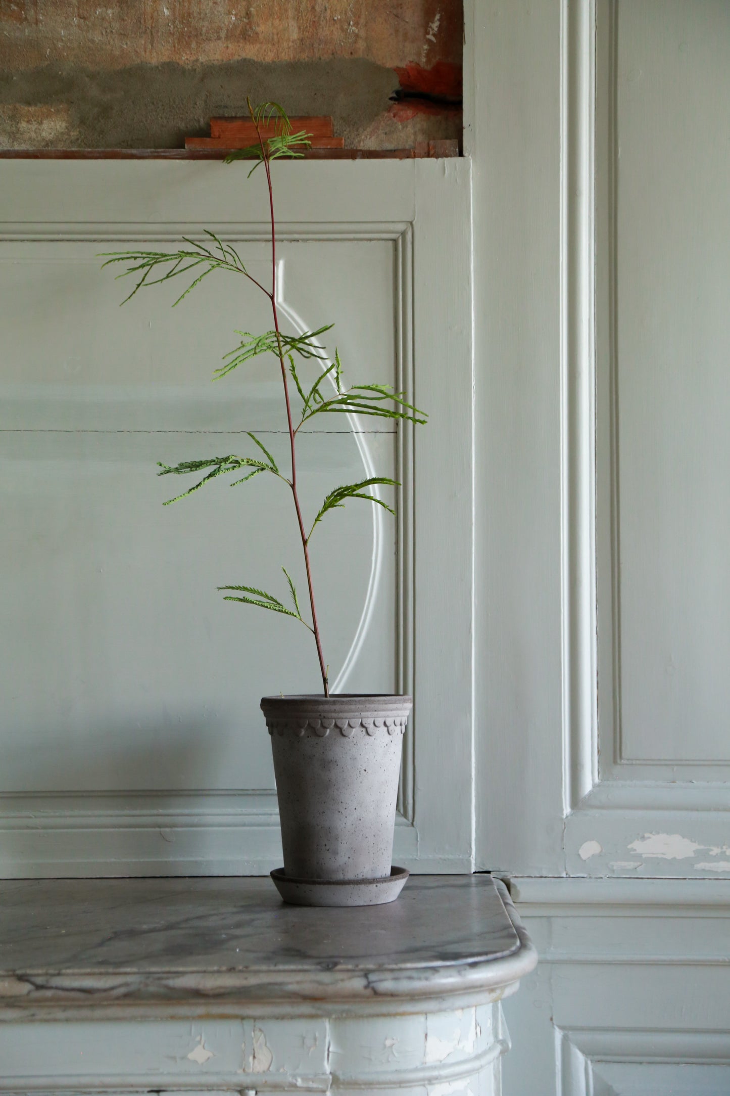 Københavner (Copenhagen) Tall Raw Pot & Saucer - Grey