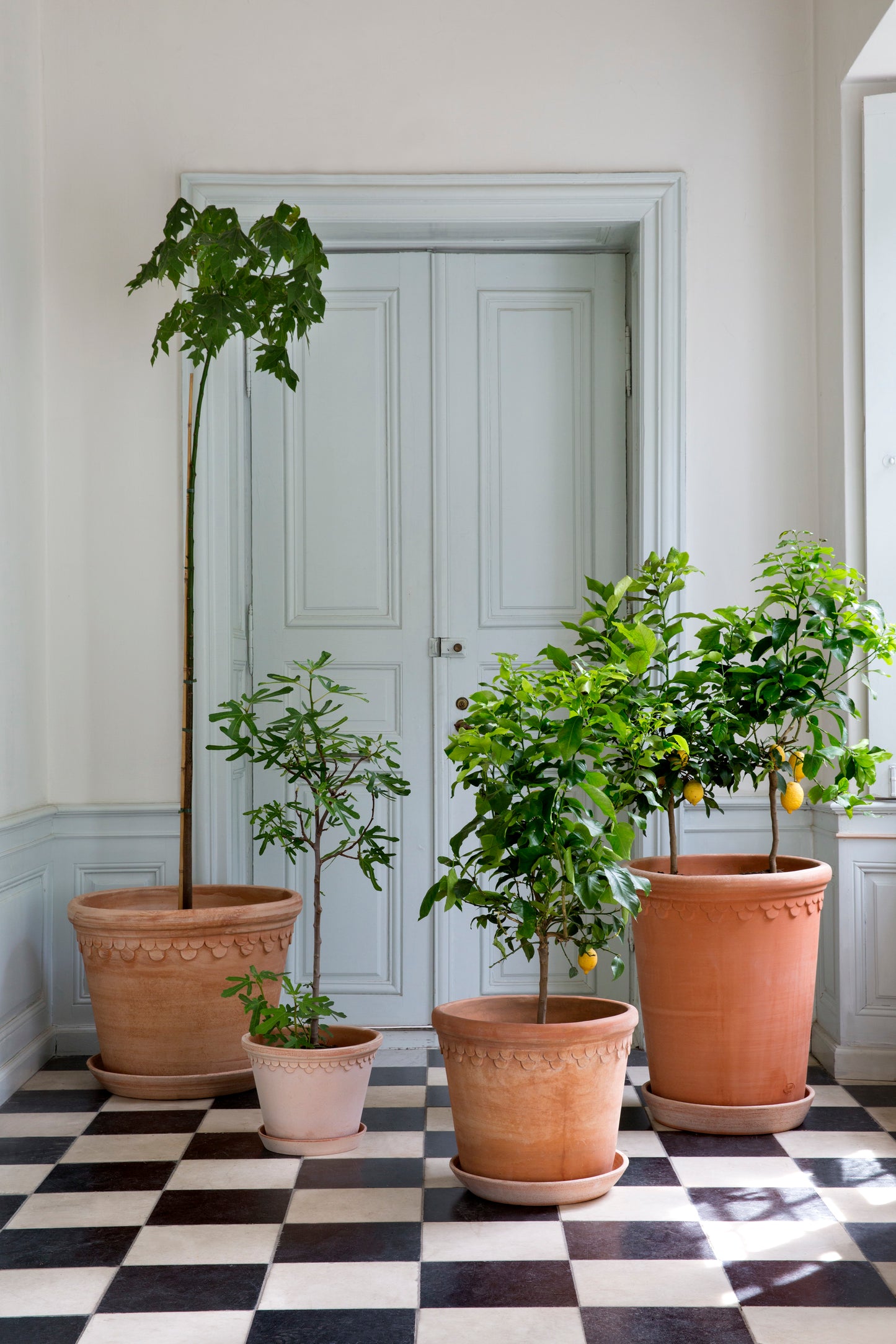 Københavner (Copenhagen) Large Pot - Rosa