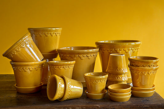 Københavner (Copenhagen) Glazed Pot & Saucer - Amber Yellow