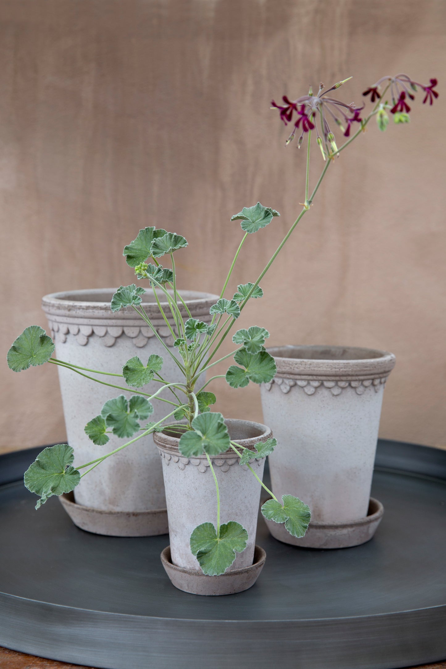 Københavner (Copenhagen) Tall Raw Pot & Saucer - Grey