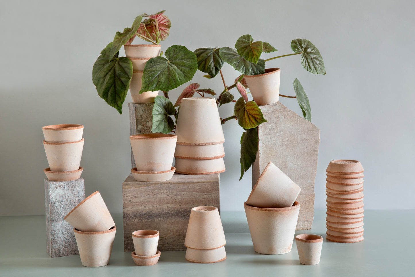 Julie Raw Pot & Saucer - Rosa