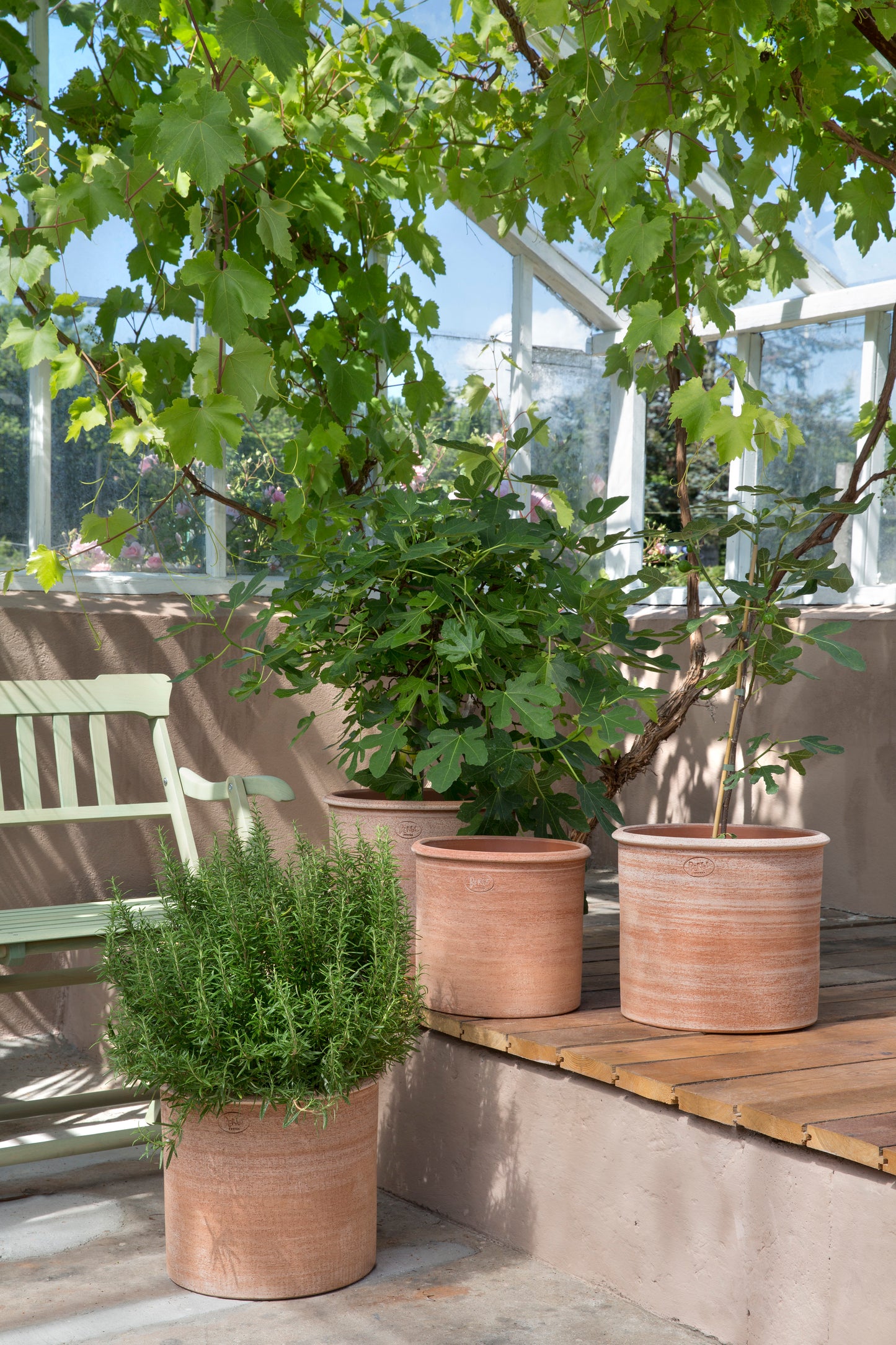 Modena Rustic Pot & Saucer - Rosa