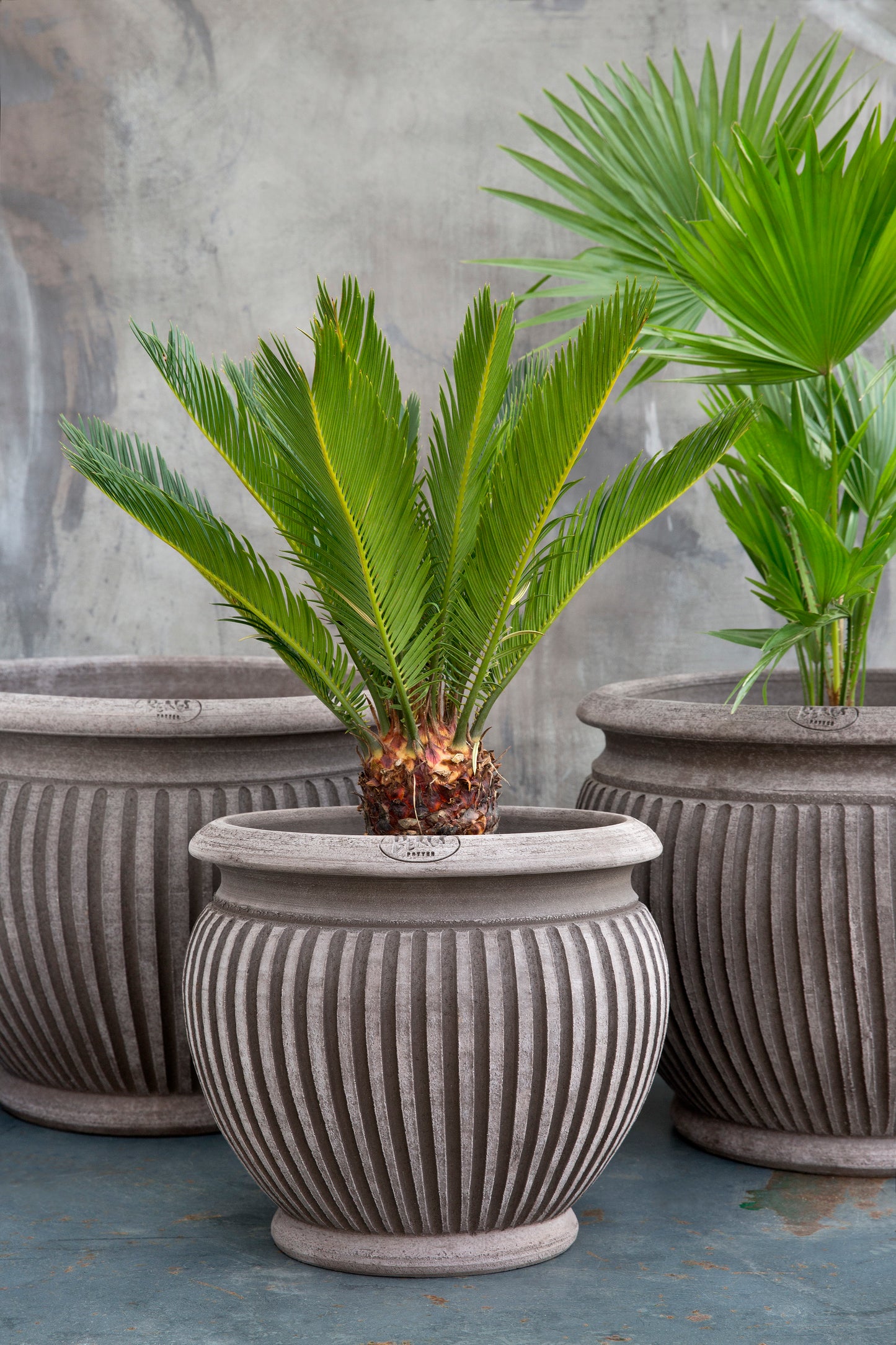 Piccolina Raw Pot  - Grey