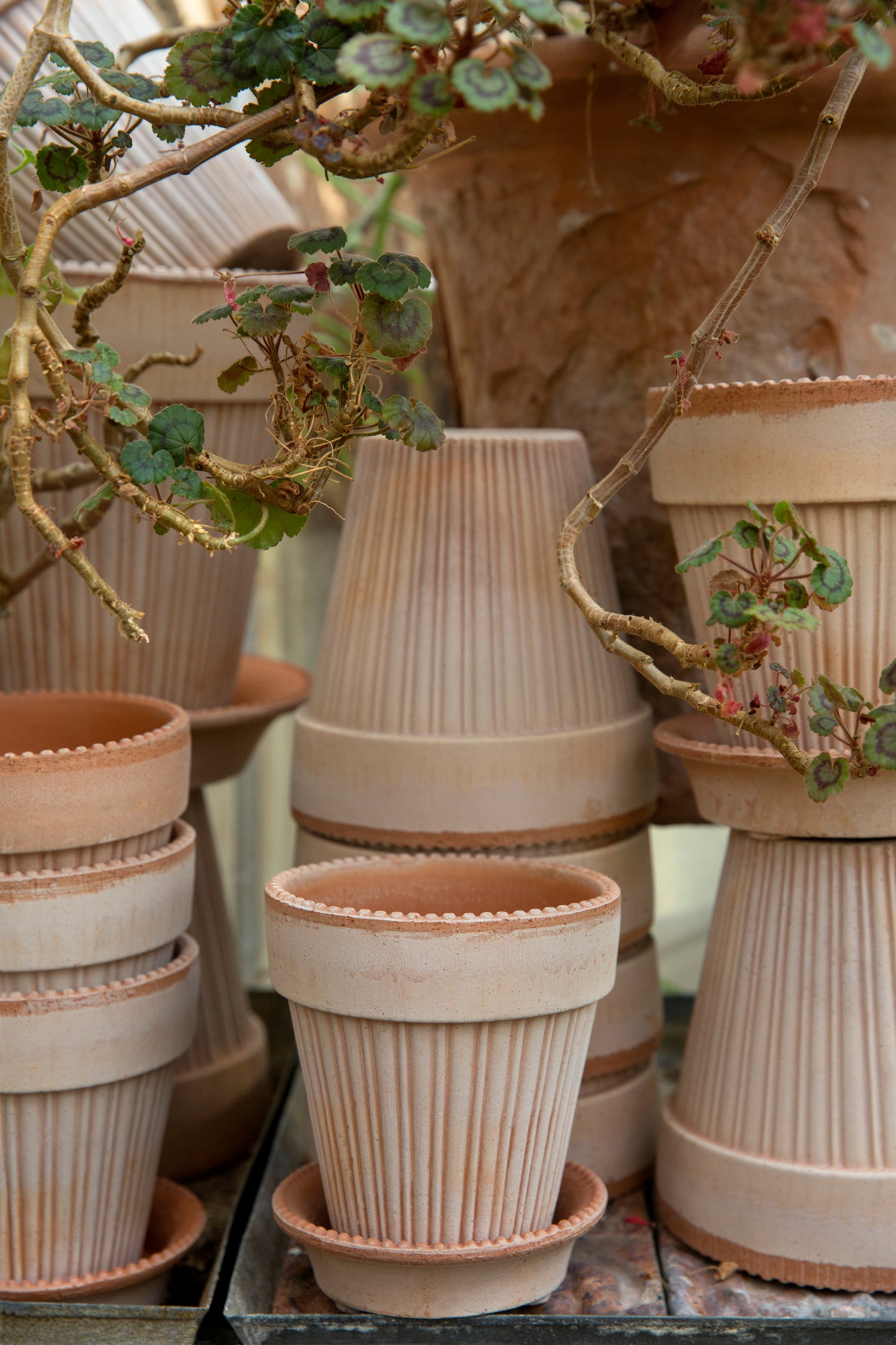 Simona Raw Pot & Saucer - Rosa