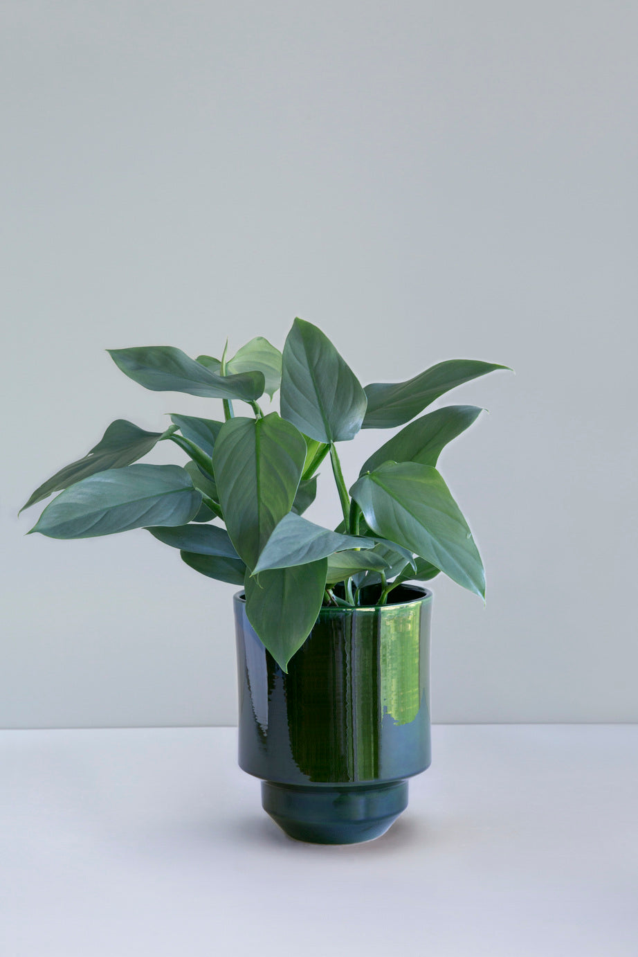 Hoff Glazed Cache Pot (No drainage hole) - Emerald Green