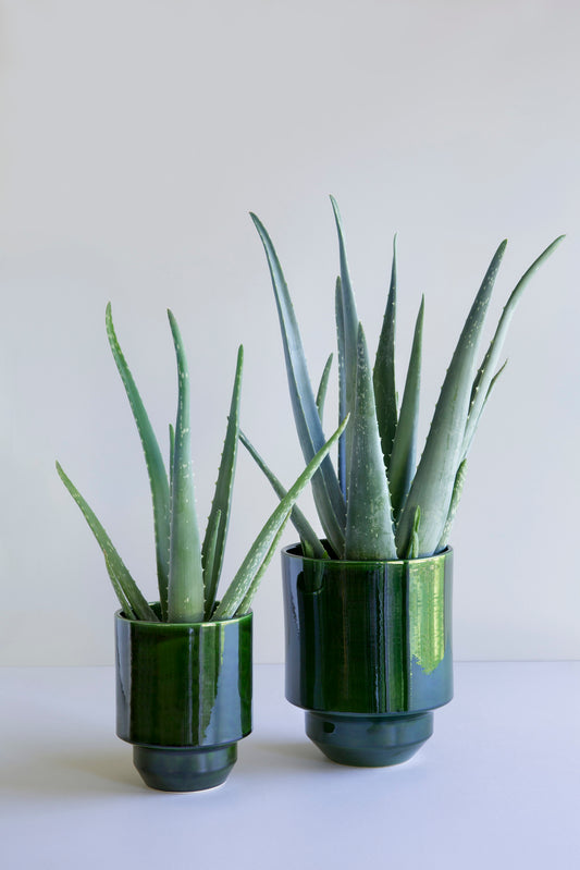 Hoff Glazed Cache Pot (No drainage hole) - Emerald Green