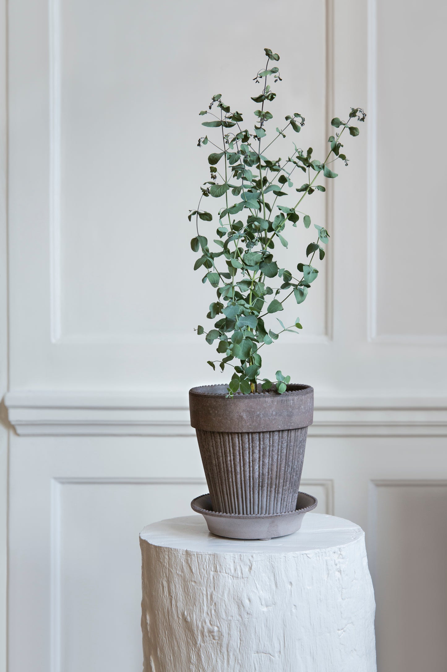 Simona Raw Pot & Saucer - Grey