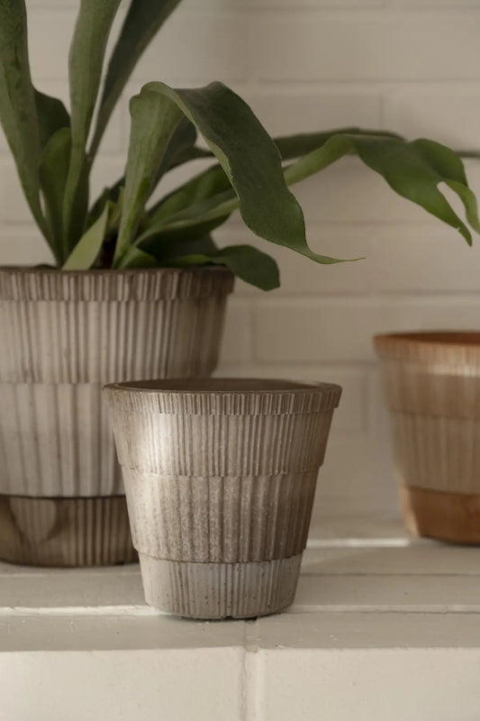 Atlas Raw Pot & Saucer - Grey