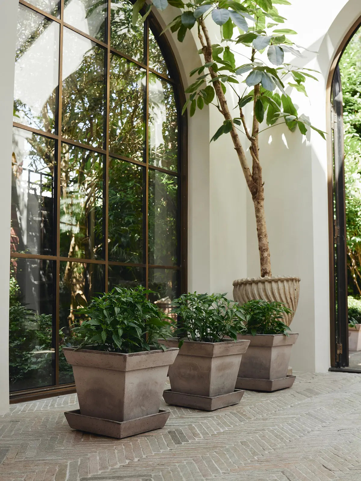 Gaia Raw Grey Pot & Saucer